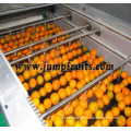 NFC fruit orange juice processing line machinery